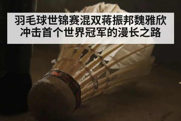 羽毛球世锦赛混双蒋振邦魏雅欣冲击首个世界冠军的漫长之路 | kaiyun